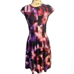 Calvin Klein Watercolor Fit & Flare Seamed Scuba Dress Size 4 Pink Red Purple